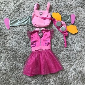Paw Patrol Skye costume with sound!!! 3T-4T.